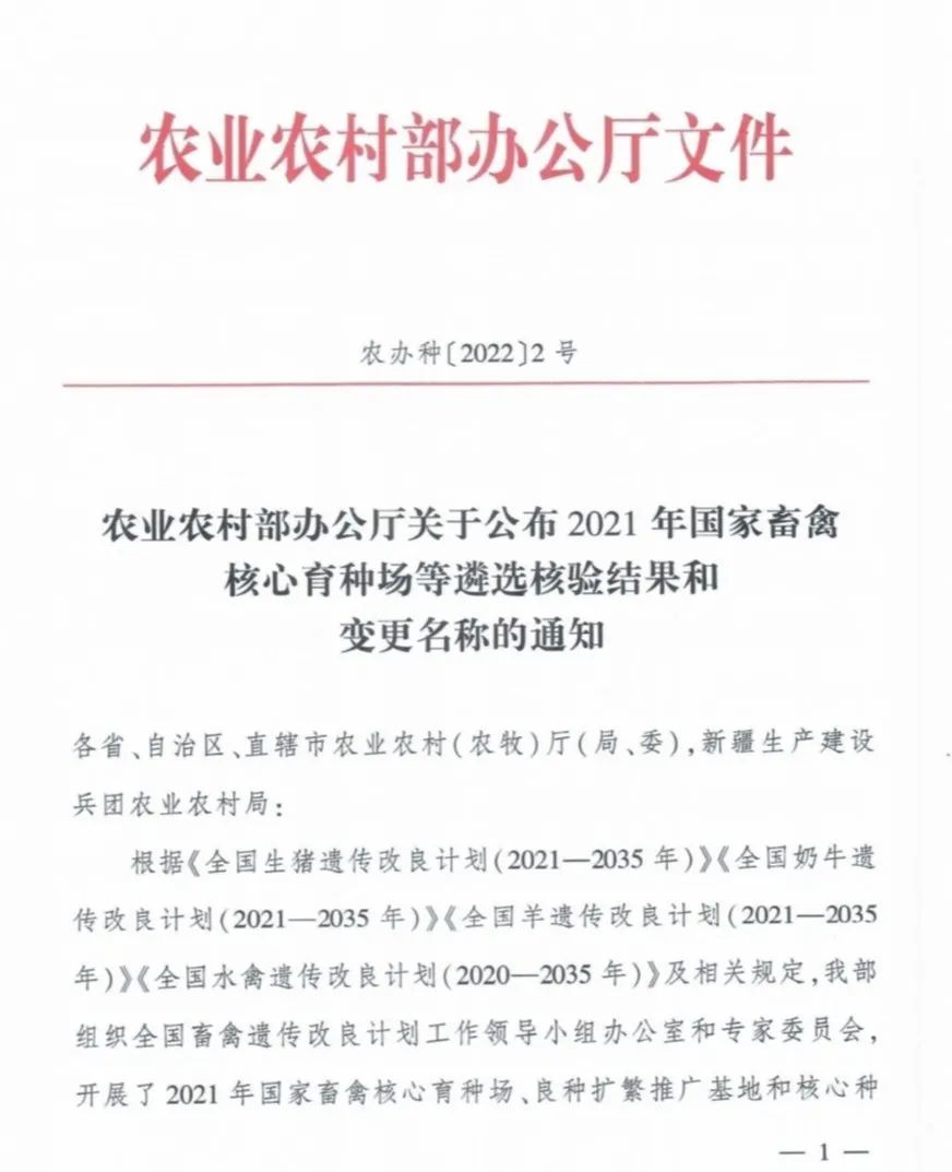 20220413160253845384 首页 | J9集团有限公司官网