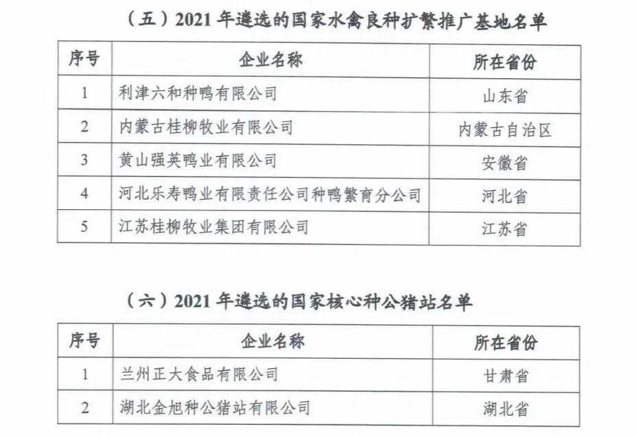 20220413160291119111 首页 | J9集团有限公司官网